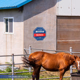 ANNKE Panneau de Sécurité 10" en Aluminium 100 % Robuste, Réfléchissant & Résistant à la Décoloration – Panneau d'Avertissement de Surveillance Extérieure pour la Protection de la Maison/Jardin/Propriété