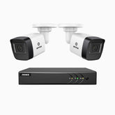 EL200 - Kit de surveillance filaire 1080p à 4 canaux avec 2 caméras, DVR intelligent avec détection humaine et véhicule, vision nocturne infrarouge de 66 pieds, signal de sortie 4-en-1, IP67