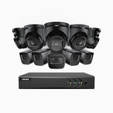 EL200 - Kit de surveillance filaire 1080p à 16 canaux avec 5 caméras bullet et 5 caméra tourelle, DVR intelligent avec détection humaine et véhicule, vision nocturne infrarouge de 66 pieds, signal de sortie 4-en-1, IP67