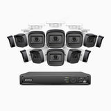 H300 - Kit de surveillance PoE 3MP à 16 canaux avec 12 caméras, vision nocturne EXIR 2.0, détection de mouvement, H.265+, étanchéité IP67