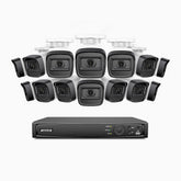 H300 - Kit de surveillance PoE 3MP à 16 canaux avec 14 caméras, vision nocturne EXIR 2.0, détection de mouvement, H.265+, étanchéité IP67