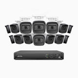 H300 - Kit de surveillance PoE 3MP à 16 canaux avec 14 caméras, vision nocturne EXIR 2.0, détection de mouvement, H.265+, étanchéité IP67