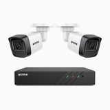 H300 - Kit de surveillance PoE 3MP à 8 canaux avec 2 caméras, vision nocturne EXIR 2.0, détection de mouvement, H.265+, étanchéité IP67